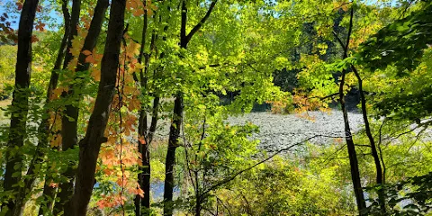 Brinton Brook Sanctuary