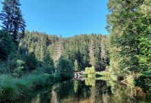 Jezero Jarevac景点图片