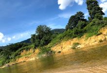 Endau Rompin Peta Johor National Park景点图片