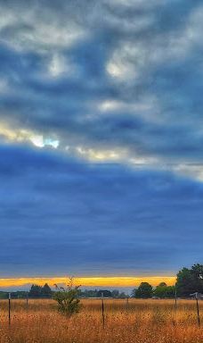 Benton County Fairgrounds-本顿县