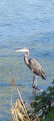 Waverly Park Parking-奥尔巴尼