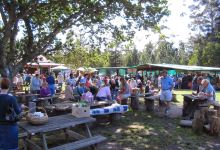 Harkerville Saturday Village Market景点图片