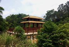 钦州林湖森林公园景点图片