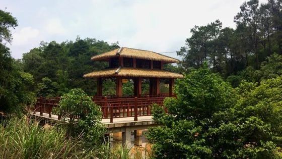 欽州林湖森林公園