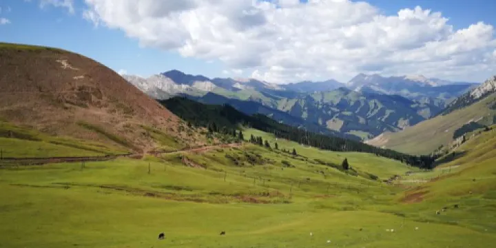 瓊博拉森林公園