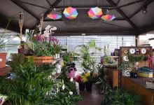 Garden Ciutat Diagonal购物图片