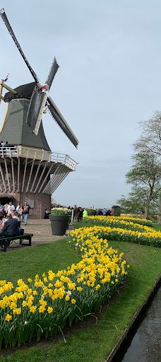 Willem - Alexander Pavilion-利瑟