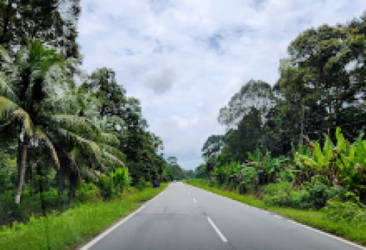 Kanowit West Forest Reserve景点图片