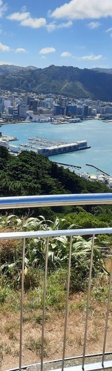 维多利亚山-惠灵顿