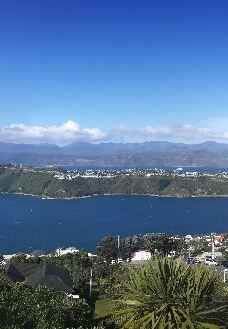 维多利亚山-惠灵顿