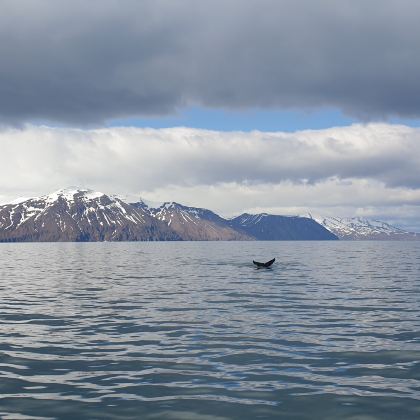 冰岛黑沙滩+瓦特纳冰川国家公园10日9晚私家团