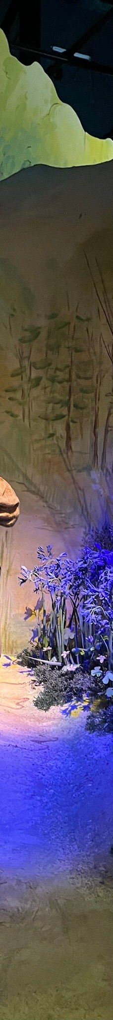 彼得兔世界-鲍内斯温德米尔