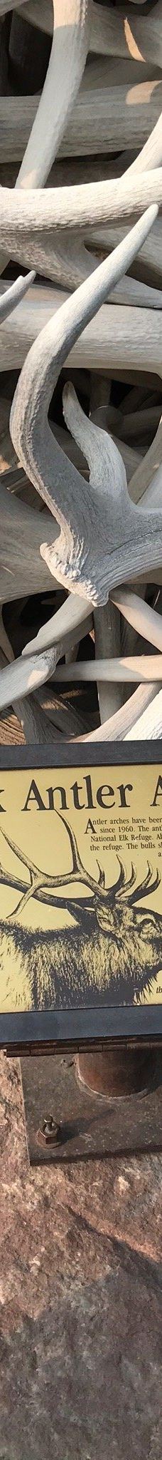 杰克逊鹿角公园-杰克逊