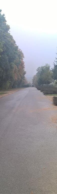 Parc de Champagne-兰斯