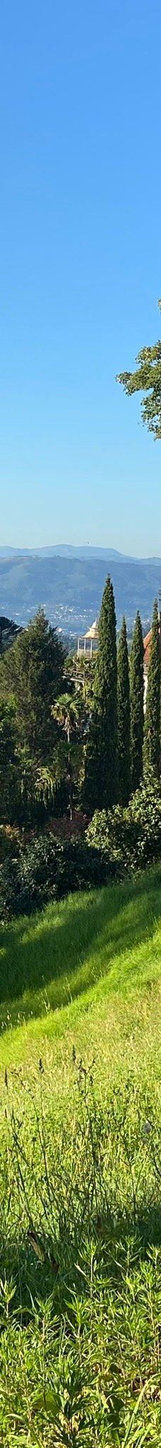 山上仁慈耶稣朝圣所-布拉加