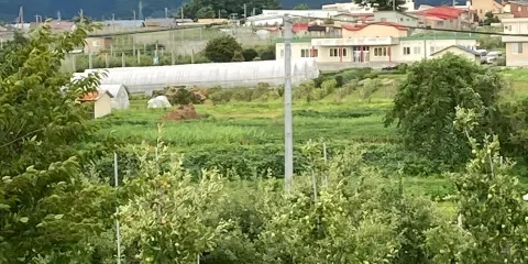 弘前市蘋果公園