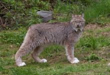 The Kroschel Wildlife Center景点图片