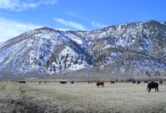 Dangberg Home Ranch Historic Park景点图片