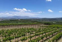Winery Stilianou景点图片