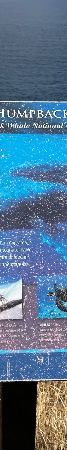 Papawai Scenic Lookout-茂宜县