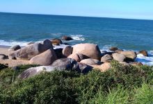 Morro do Boi景点图片