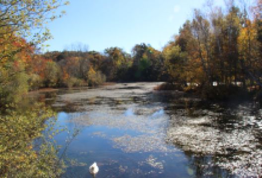 Plimoth Grist Mill景点图片