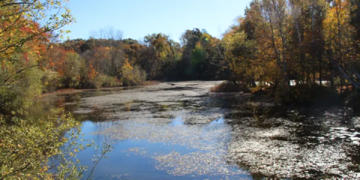 普利茅斯穀物工廠