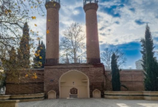 Shah Abbas Mosque景点图片