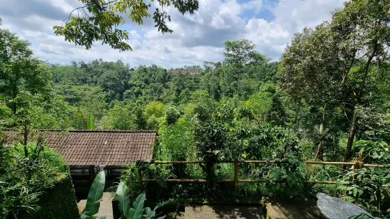 Cantik Agriculture