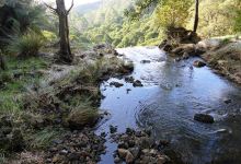 Preston Falls景点图片