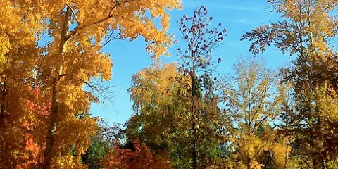 Zarechny Museum and Exhibition Center