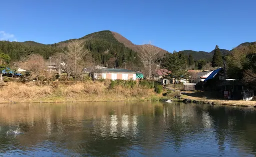 Fishing Motai