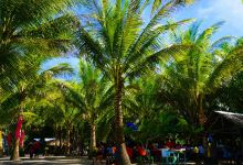 Paraiso Ni Aurelio景点图片