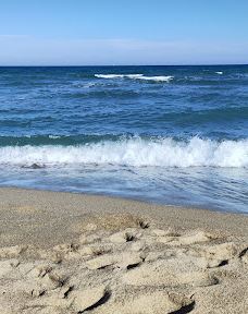 The pine forest of Le Barcarès-勒巴尔卡雷