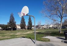 Newcastle Park景点图片