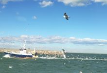 Plage Port La Nouvelle景点图片
