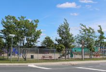 Gander Community Playground景点图片