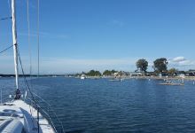 Cabbage Tree Point Conservation Park景点图片
