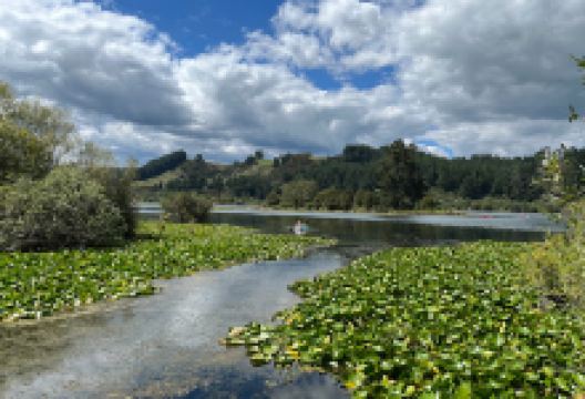 Dunham's Point Reserve景点图片