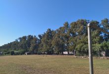 Familia Román - Cancha los Pinos景点图片