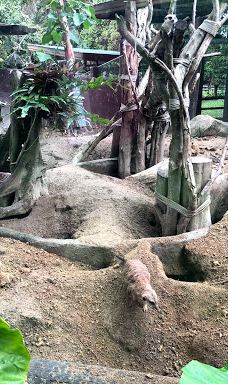 Seal and Penguin Park-宋卡