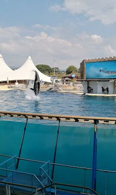 水上乐园-昂蒂布