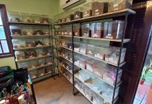 Segredos da Terra produtos naturais购物图片