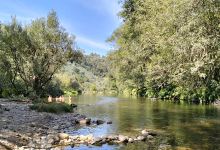 Parque Botânico Fluvial Temático. Rio Paiva景点图片