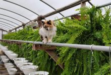 Plant Land Garden Center & Lakeside Brewing Supplies购物图片