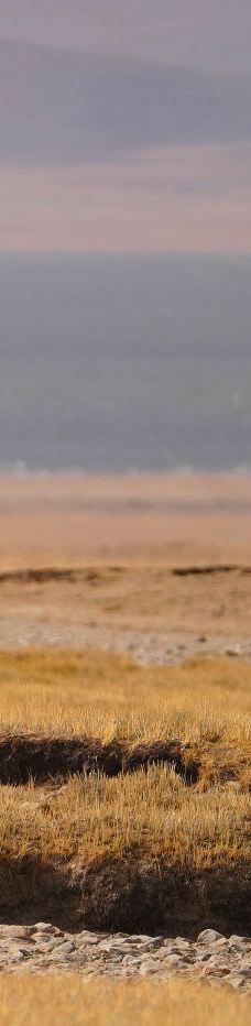 夯错湿地暗夜星空景区-那曲