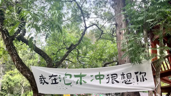 泡木沖生態康養景區