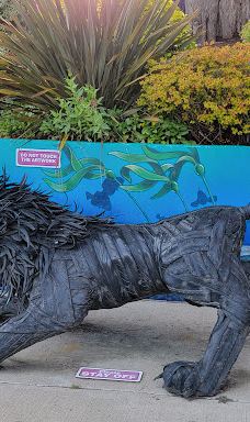 Ripley's Believe It or Not! World of Adventure-纽波特