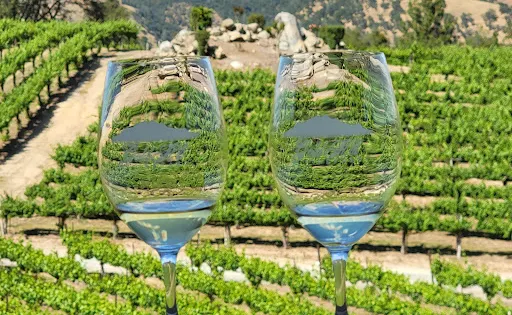 Gold Hill Vineyard