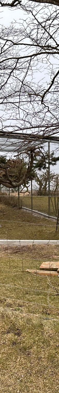 Ottenby Naturum-默尔比隆阿